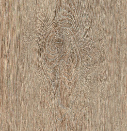 IPC Rubin XL Eiche Teebraun 284 255355