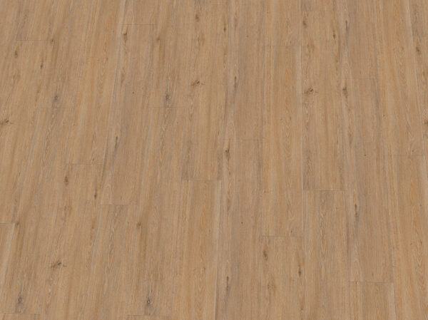 IPC Rubin XL Eiche Bernstein 284 255361