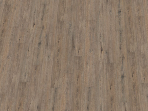 Saphir Plus Klick-Vinyl Eiche Austergrau