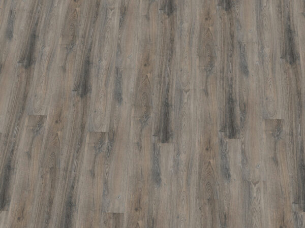 Saphir Plus Vinylboden Eiche Graubeige