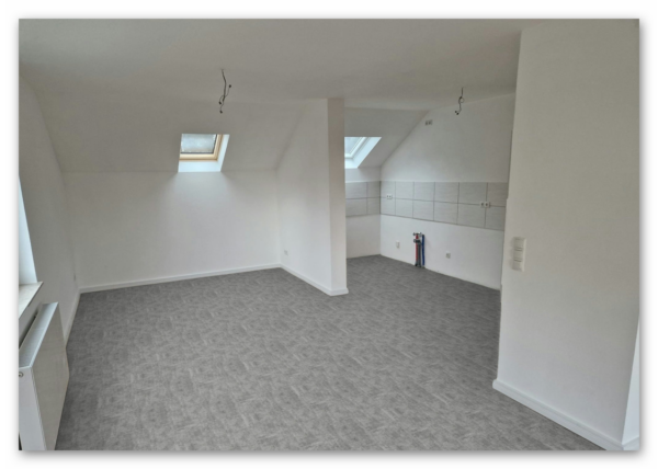 SurPlus Vinyl Graphic 97 50 RLV 3897