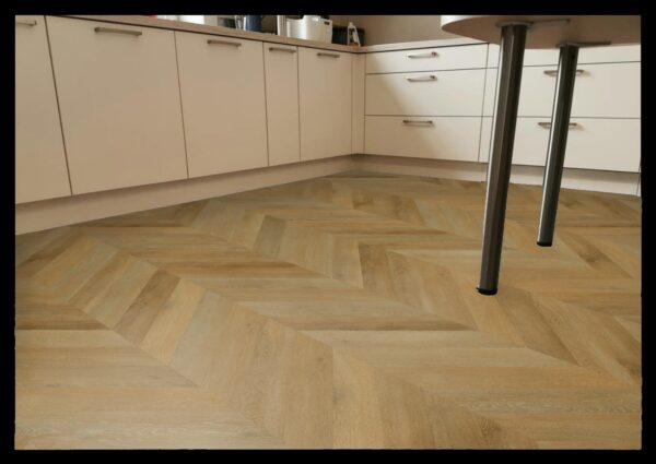 GD55 Albano D5C76526X