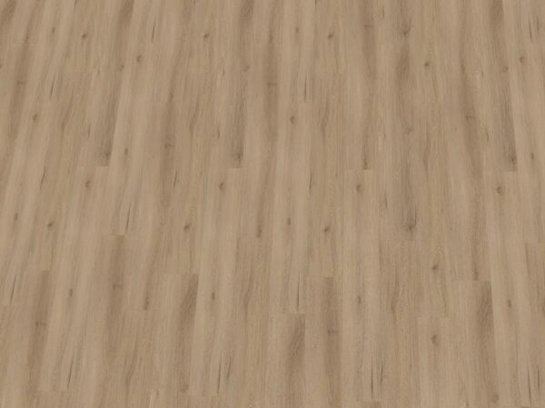 Opal XL Eiche Maastricht 284-255313