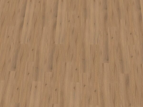 Opal XL Eiche Alkmaar 284-255318