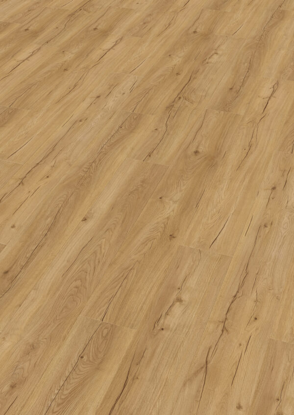 Sorex Oak Living Nature 32650 400